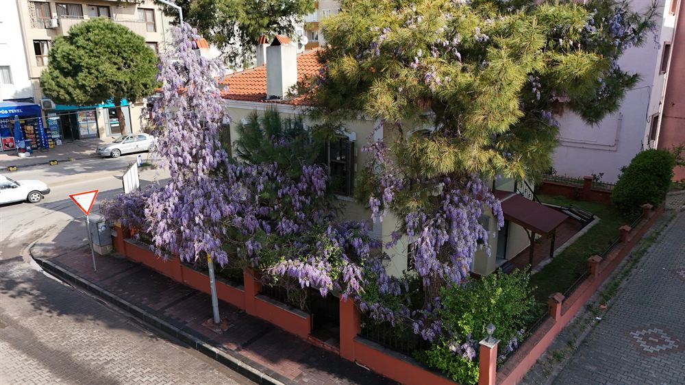 Çanakkale Venüs Estetik kliniği — fotoğraf 12